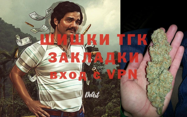 крисы Алзамай