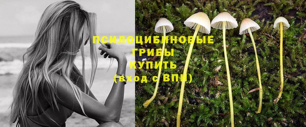 а пвп мука Алексеевка