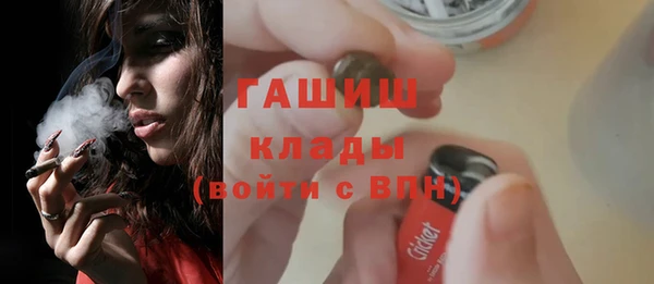крисы Алзамай