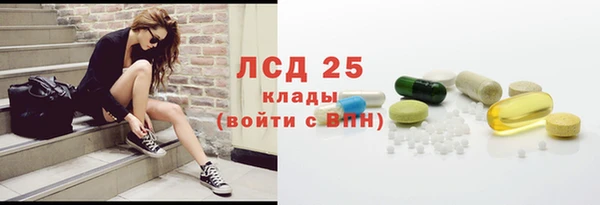 крисы Алзамай